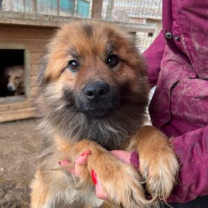 FERDL - reserviert NadineH - vermittelt