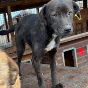 ZAYA - auf PDR PS im PLZ Bezirk 21 - vermittelt