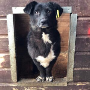 POPPINS - auf PDR PS im PLZ Bezirk 76 - vermittelt