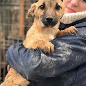 LUANI - auf PDR PS im PLZ Bezirk 72 - vermittelt