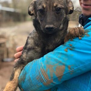 EYOTA - reserviert NH - vermittelt