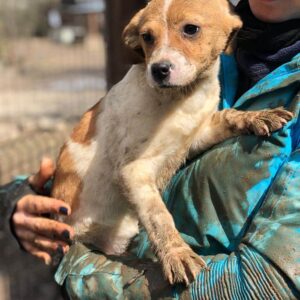 NIS - reserviert PVA - vermittelt