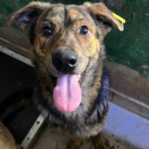 MOO - auf PDR PS im PLZ Bezirk 53 - vermittelt