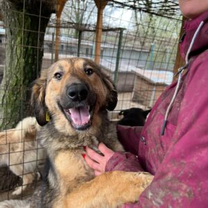 CORA - vermittelt Manuela