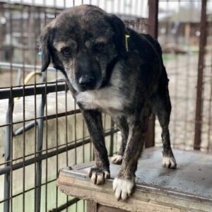 BENJAMIN - vermisst 11/24