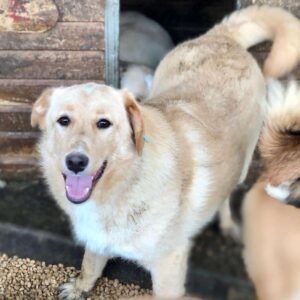 SANDINA - vermisst 04/24