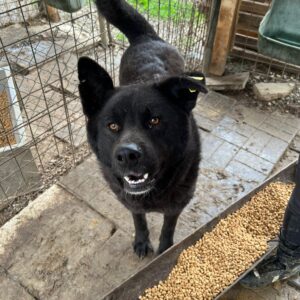 LEONOR - vermittelt Manuela