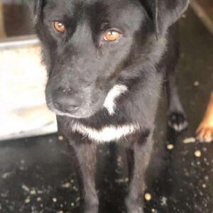 ANDRA - auf PDR PS im PLZ Bezirk 5