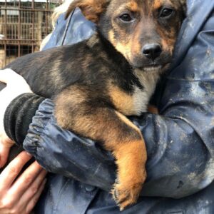 MAKENA - vermisst 11/24