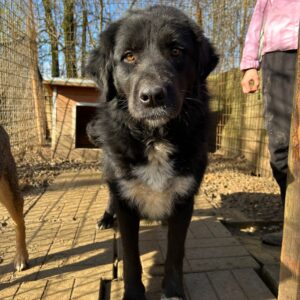 MAREI - vermittelt Manuela