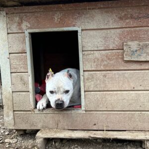 DIVAN - vor Ort vermittelt 05/23