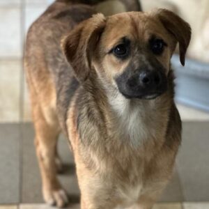 TRIXI - auf PDR PS im PLZ Bezirk 33 - vermittelt