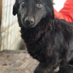 EMELIE - auf PDR PS im PLZ Bezirk 41