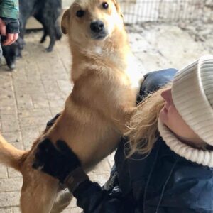 PIRELLI - auf PDR PS im PLZ Bezirk 73 - vermittelt