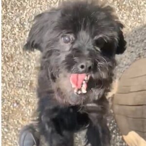 NISCHA - med. Notfall - vermittelt Manuela