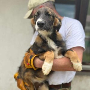 KUDDEL - vermittelt JW