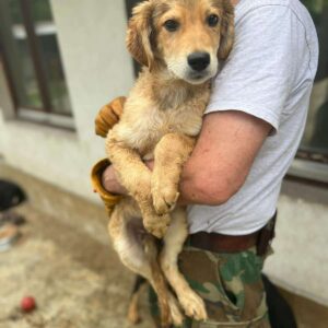 RUSTY - ausgereist zum KTH e.V.