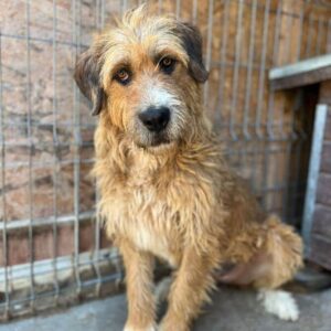 FIORE - vermittelt Kathleen Müller