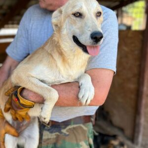 KÄTHE - auf PDR PS im PLZ Bezirk 2