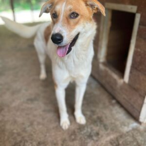 MARIELLA - auf PDR PS im PLZ Bezirk 64 - vermittelt