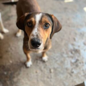 SVANNA - ausgereist zum KTH e.V.