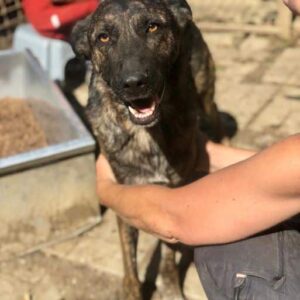 THEMBA - vermisst 11/24