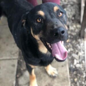 FIJONA - vermisst 11/24