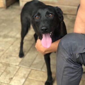 TAYA - ausgereist zum TH Ludwigsburg