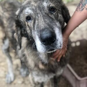 JOKOLINO - vermittelt Manuela