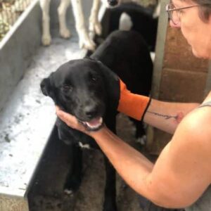 NERA - vermisst 11/24