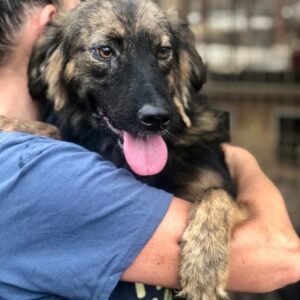 CORAL - auf PDR PS im PLZ Bezirk 64 - vermittelt