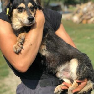 BLOIS - vermittelt JW