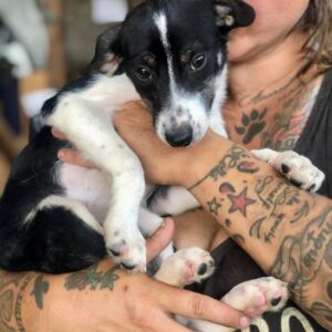 EBBI - vor Ort vermittelt 12/23