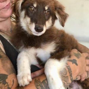 MILLY - vermittelt JW