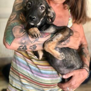 GRAZIE - ausgereist zur Tierhilfe Lebenswert