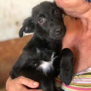 JOSY - vermittelt MD