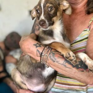 PEBBS - reserviert Sarah - vermittelt