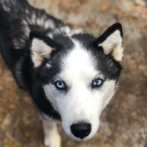 MISOKA - med. Notfall - vermittelt Manuela