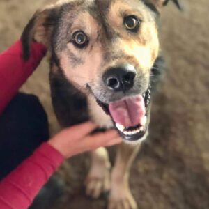 MATTI (♂) - RBB 10/24