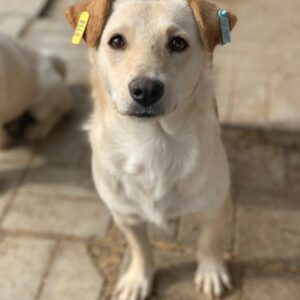 SOURI - ausgereist zum TST Rösrath