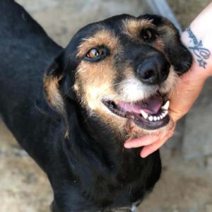 BILLA - auf PDR PS im PLZ Bezirk 18 - vermittelt