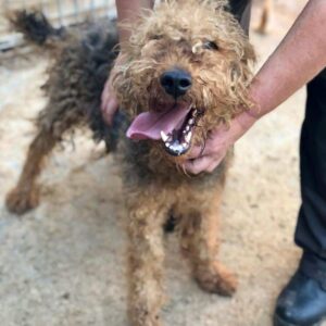 WUSEL - ausgereist zum TH Wannigsmühle