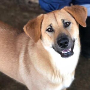 FRANZIE - auf PDR PS im PLZ Bezirk 58 - vermittelt