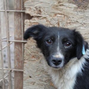 JAFF - auf PDR PS im PLZ Bezirk 97 - vermittelt