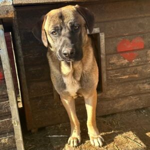 BILBAO (♂) - sollte zeitnah ausreisen