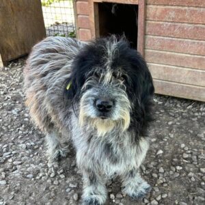 ISKAY (♀) - ausgereist zum TH Gifhorn (NZ)