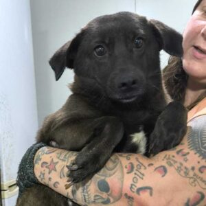 MIA (♀) - lebt in ihrer eigenen Welt, sucht dringend ruhigen (Einzel)Platz