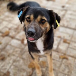 ARIELLE - reserviert TH Ludwigsburg 31.08 - RBB 09/23