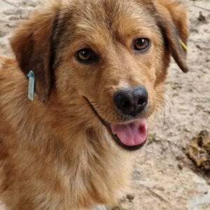 BALTIMORE - vermisst 11/24