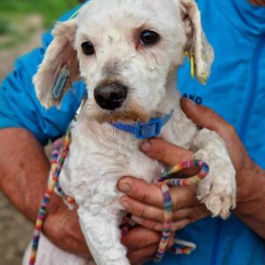 FROWIN - vermittelt Betty